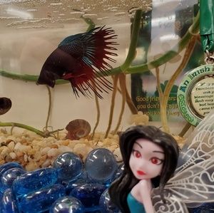 Meet your Posher, Jennefer